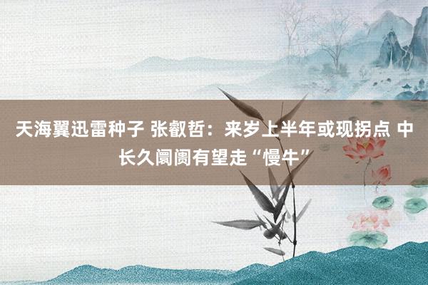 天海翼迅雷种子 张叡哲:来岁上半年或现拐点 中长久阛阓有望走“慢牛”