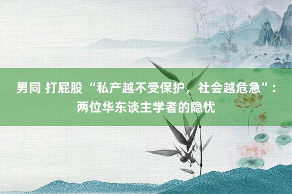 男同 打屁股 “私产越不受保护，社会越危急”：两位华东谈主学者的隐忧