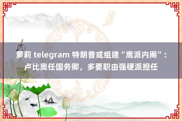 萝莉 telegram 特朗普或组建“鹰派内阁”：卢比奥任国务卿，多要职由强硬派担任