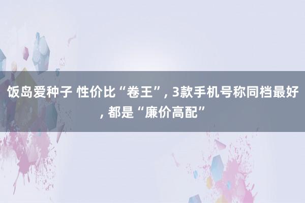 饭岛爱种子 性价比“卷王”， 3款手机号称同档最好， 都是“廉价高配”