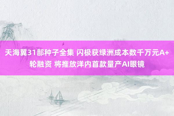 天海翼31部种子全集 闪极获绿洲成本数千万元A+轮融资 将推放洋内首款量产AI眼镜