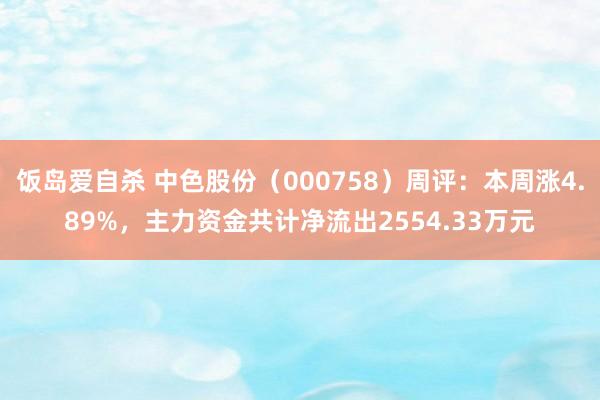 饭岛爱自杀 中色股份（000758）周评：本周涨4.89%，主力资金共计净流出2554.33万元