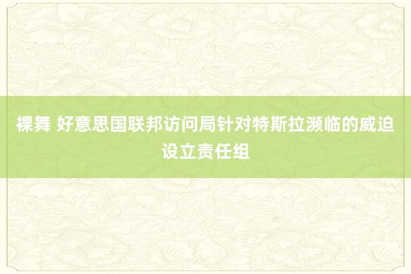 裸舞 好意思国联邦访问局针对特斯拉濒临的威迫设立责任组