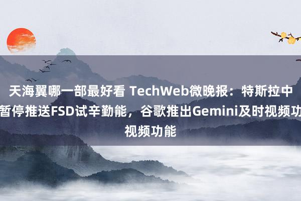 天海翼哪一部最好看 TechWeb微晚报：特斯拉中国暂停推送FSD试辛勤能，谷歌推出Gemini及时视频功能