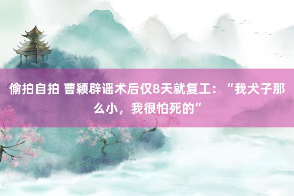 偷拍自拍 曹颖辟谣术后仅8天就复工：“我犬子那么小，我很怕死的”